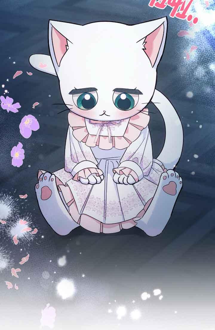 成了每晚和偏执暴君共眠的猫 - 第10话 - 第44张图