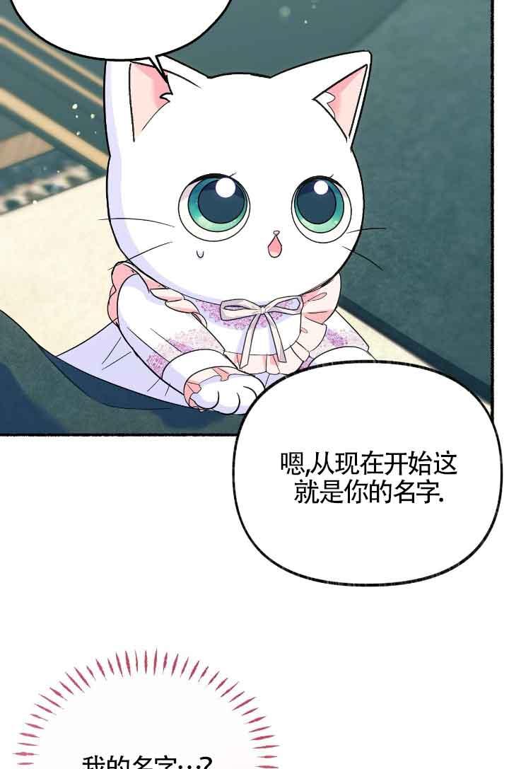 成了每晚和偏执暴君共眠的猫 - 第10话 - 第83张图