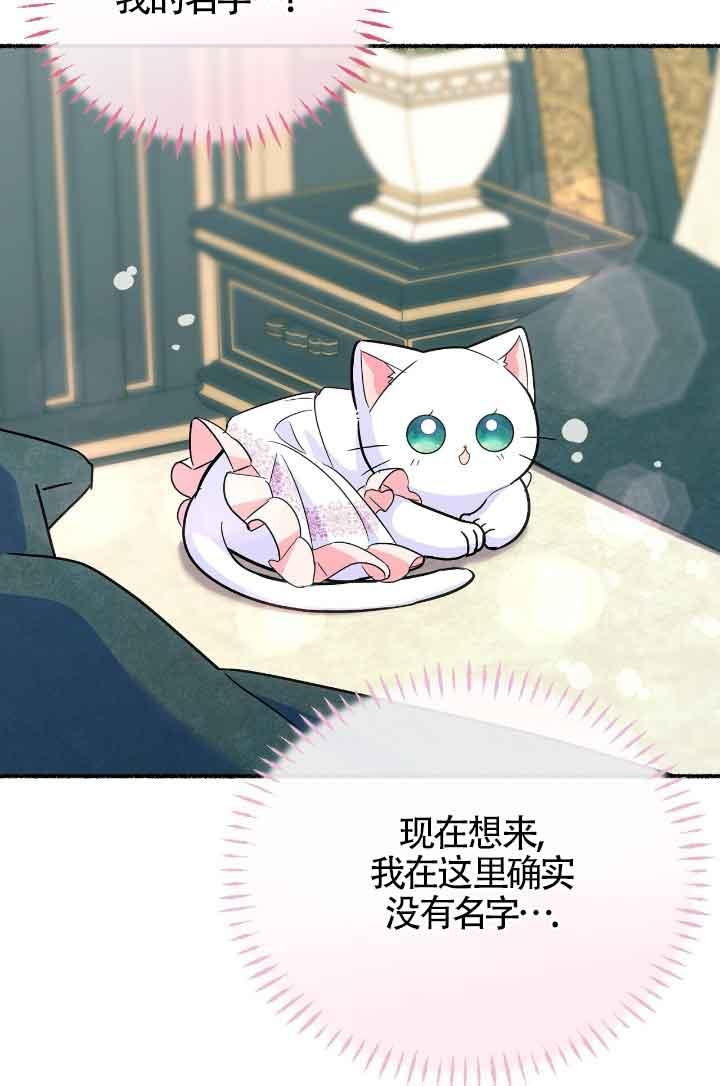 成了每晚和偏执暴君共眠的猫 - 第10话 - 第84张图