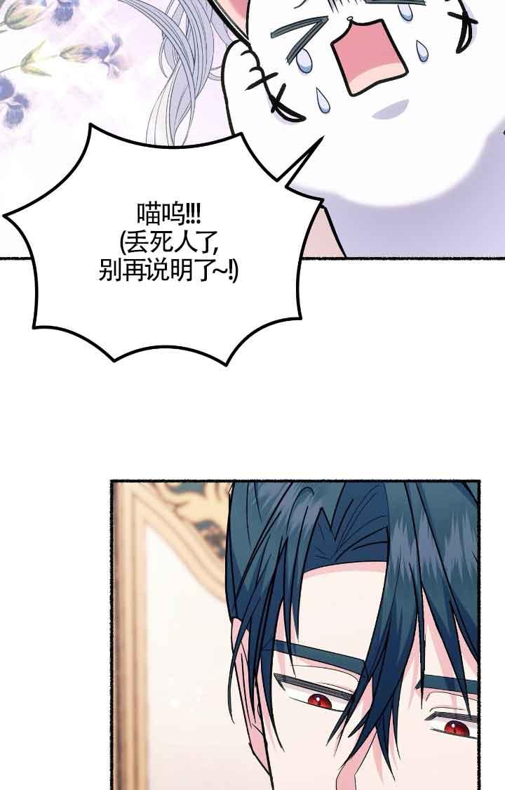 成了每晚和偏执暴君共眠的猫 - 第11话 - 第8张图