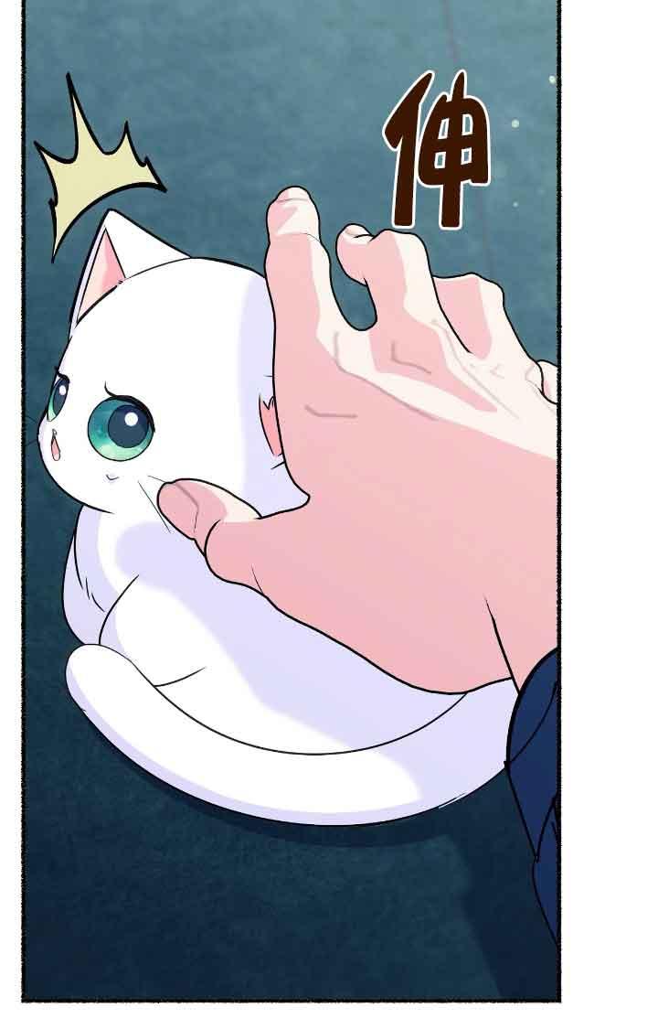 成了每晚和偏执暴君共眠的猫 - 第11话 - 第10张图