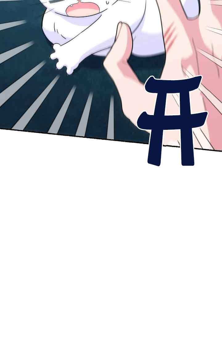 成了每晚和偏执暴君共眠的猫 - 第11话 - 第12张图