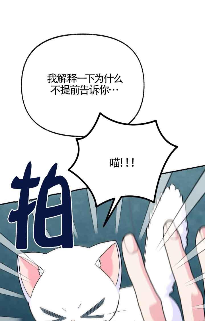 成了每晚和偏执暴君共眠的猫 - 第11话 - 第11张图