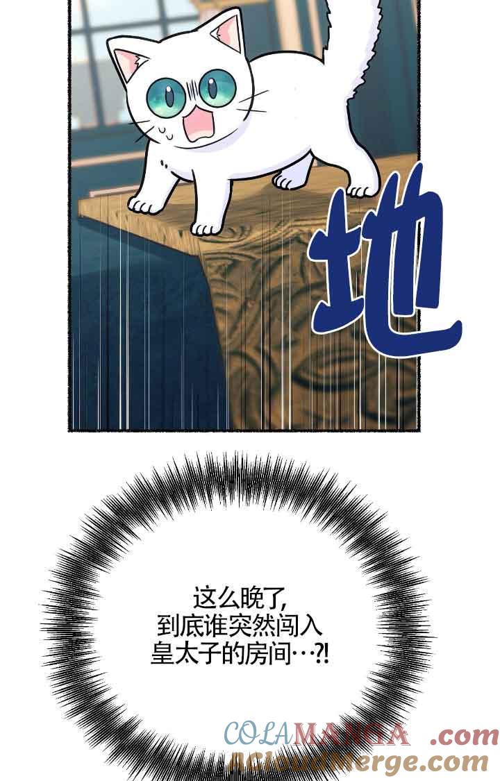 成了每晚和偏执暴君共眠的猫 - 第11话 - 第29张图