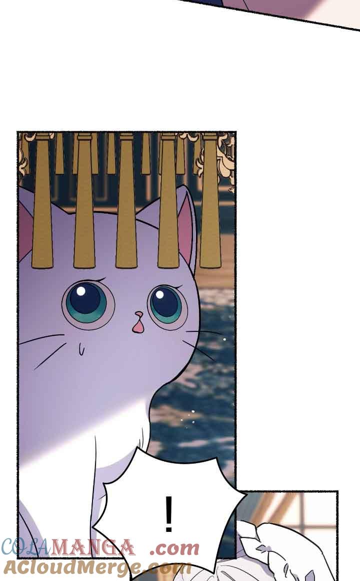 成了每晚和偏执暴君共眠的猫 - 第11话 - 第97张图