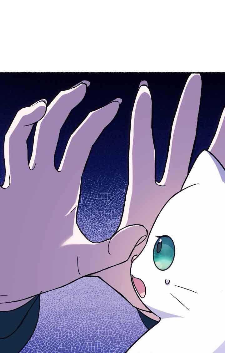 成了每晚和偏执暴君共眠的猫 - 第12话 - 第95张图