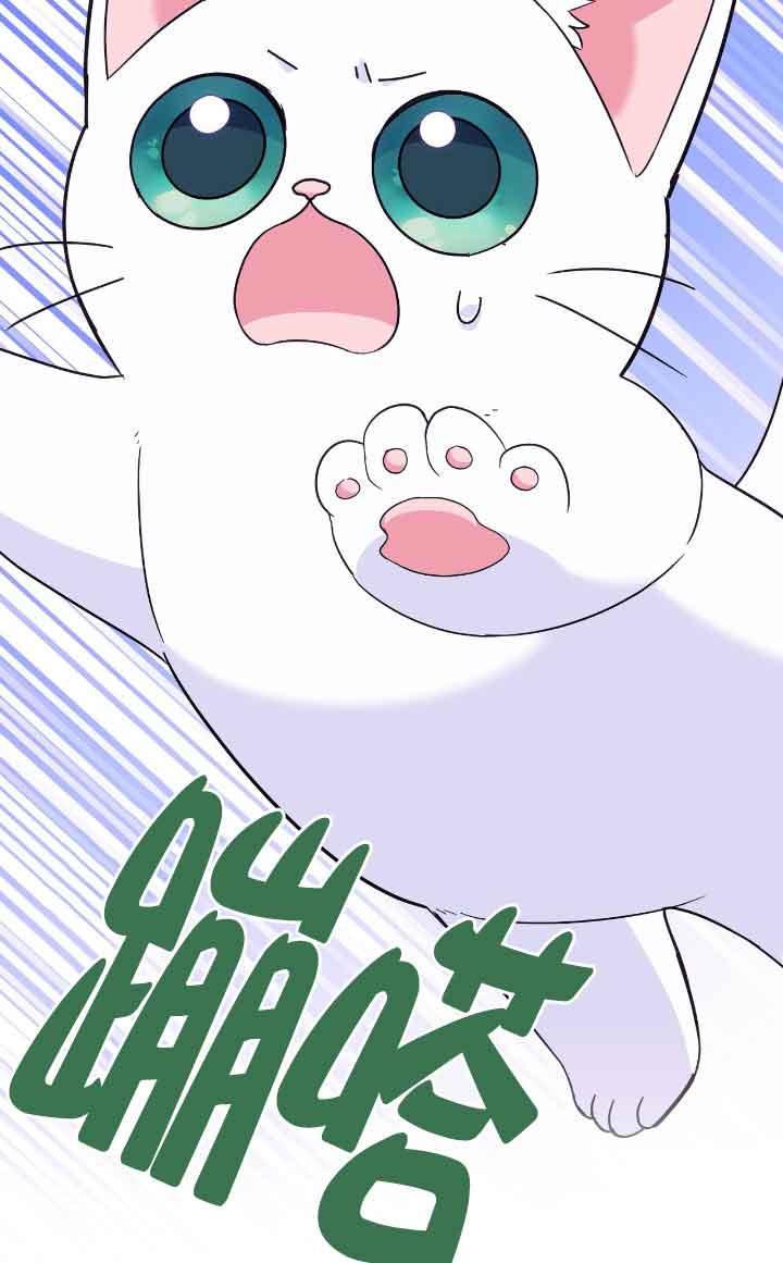 成了每晚和偏执暴君共眠的猫 - 第12话 - 第74张图