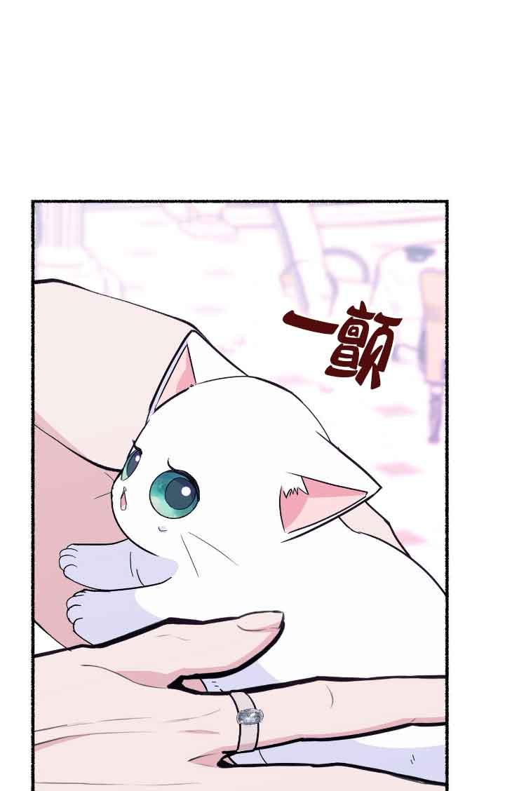 成了每晚和偏执暴君共眠的猫 - 第12话 - 第87张图