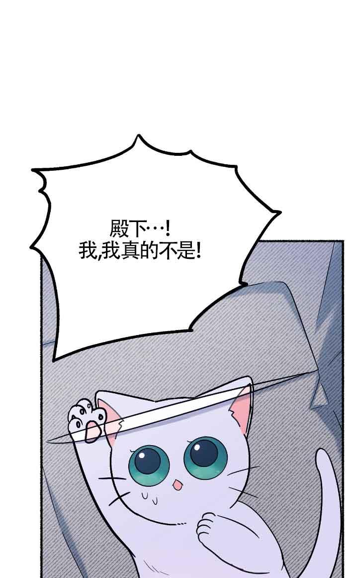 成了每晚和偏执暴君共眠的猫 - 第12话 - 第66张图