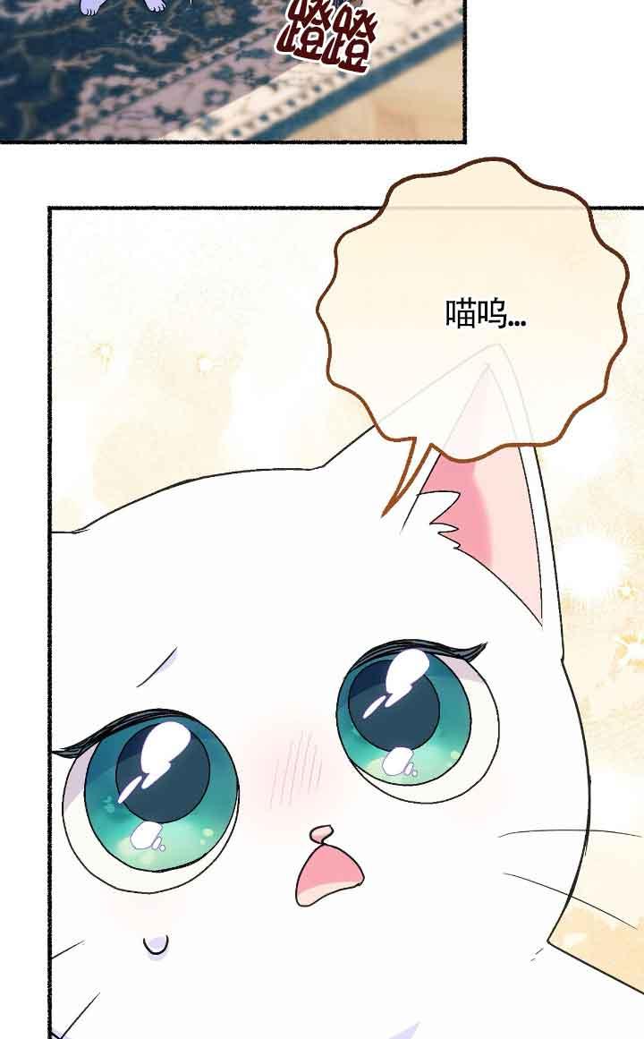 成了每晚和偏执暴君共眠的猫 - 第12话 - 第10张图