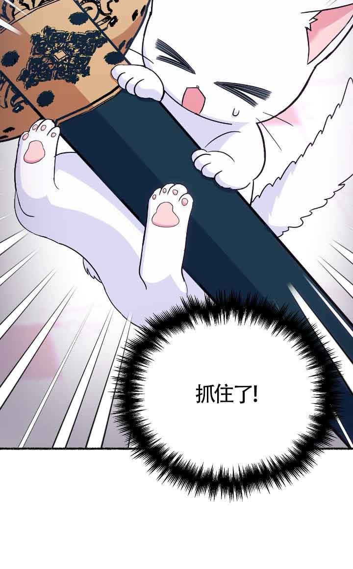 成了每晚和偏执暴君共眠的猫 - 第12话 - 第80张图