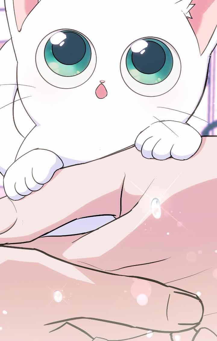 成了每晚和偏执暴君共眠的猫 - 第12话 - 第99张图