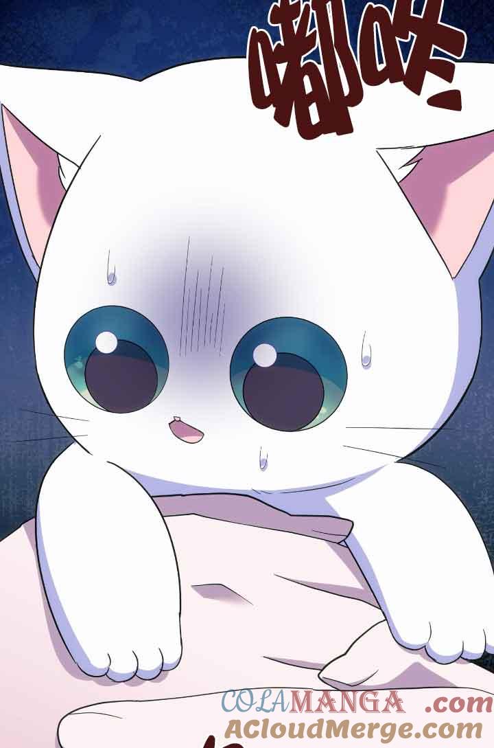 成了每晚和偏执暴君共眠的猫 - 第13话 - 第37张图