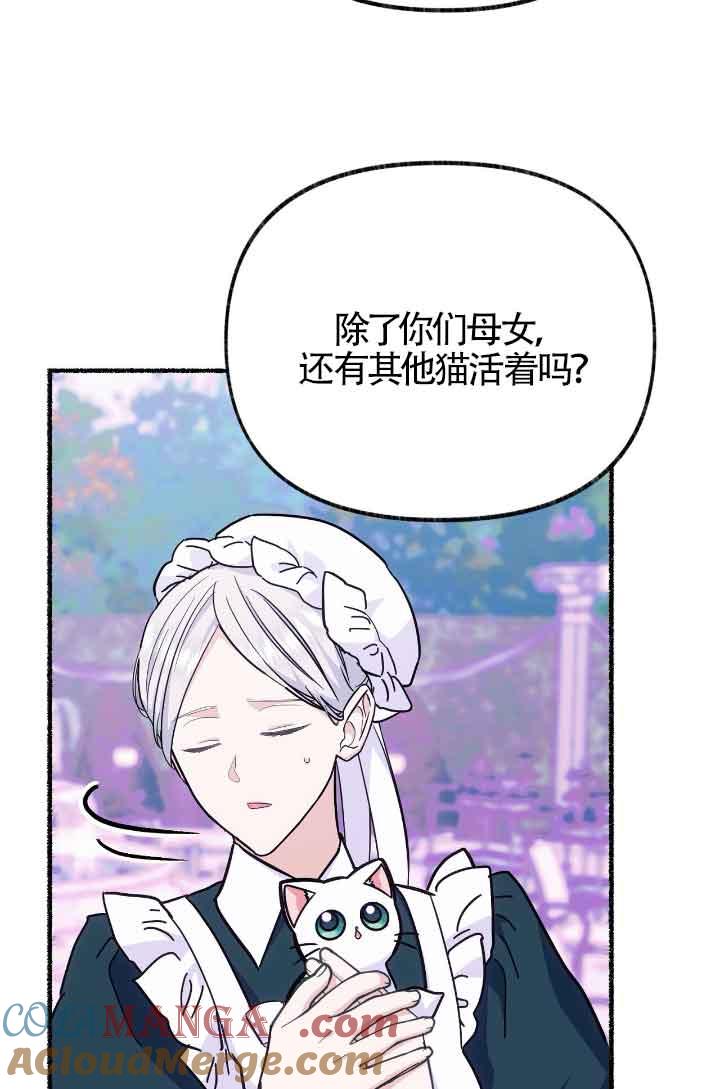 成了每晚和偏执暴君共眠的猫 - 第13话 - 第29张图