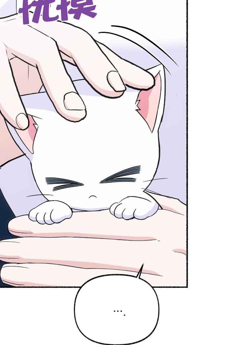 成了每晚和偏执暴君共眠的猫 - 第13话 - 第54张图