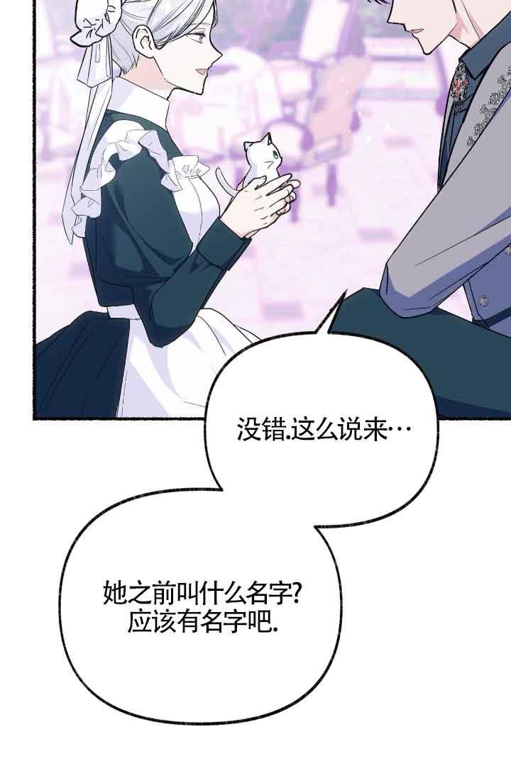 成了每晚和偏执暴君共眠的猫 - 第13话 - 第51张图