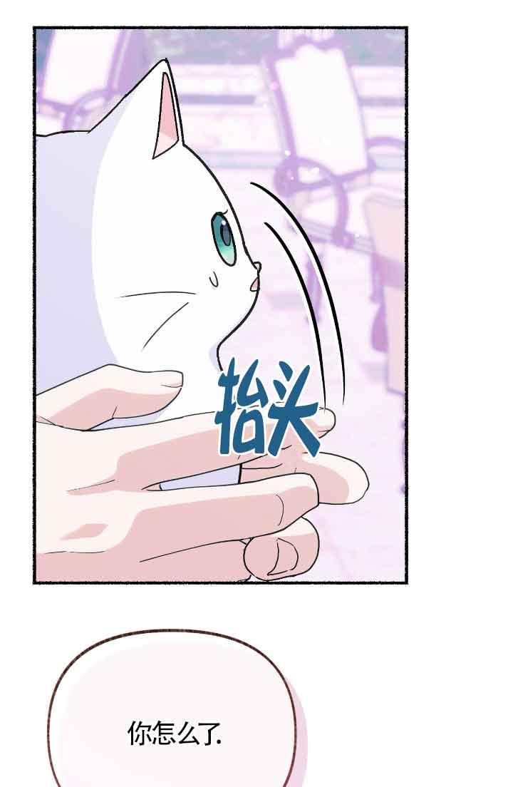 成了每晚和偏执暴君共眠的猫 - 第13话 - 第47张图