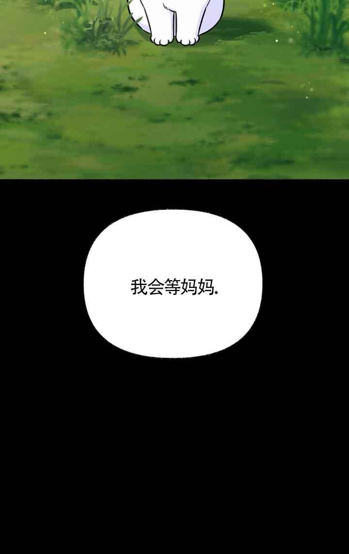 成了每晚和偏执暴君共眠的猫 - 第13话 - 第6张图