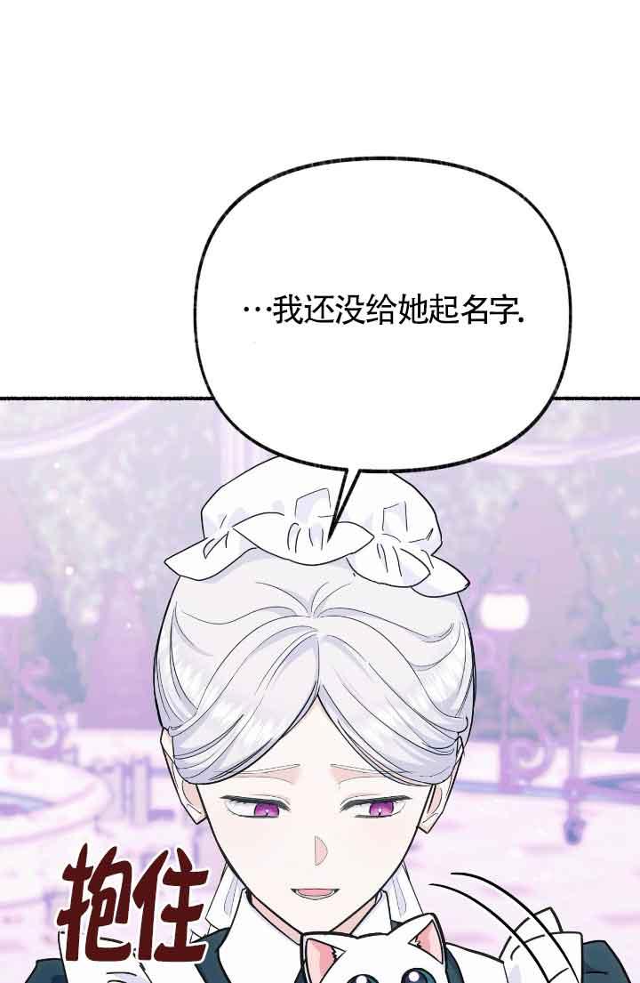 成了每晚和偏执暴君共眠的猫 - 第13话 - 第52张图