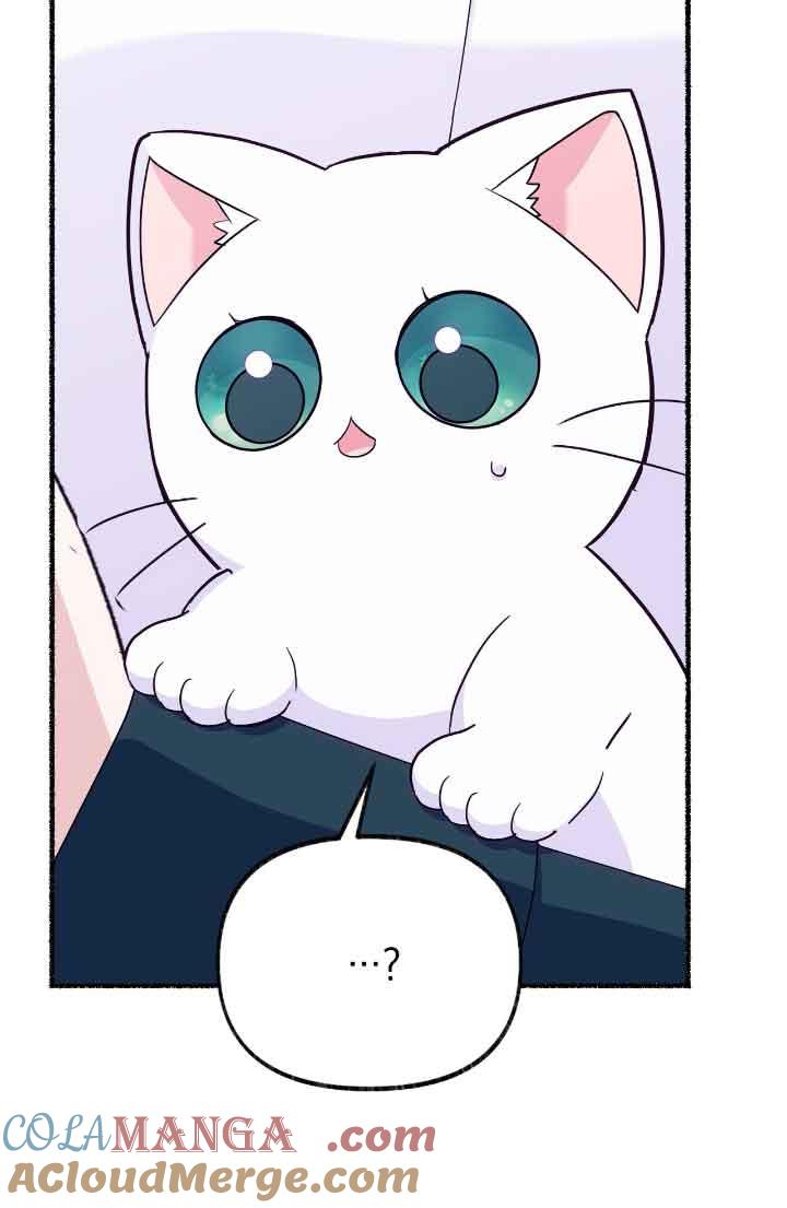 成了每晚和偏执暴君共眠的猫 - 第13话 - 第93张图