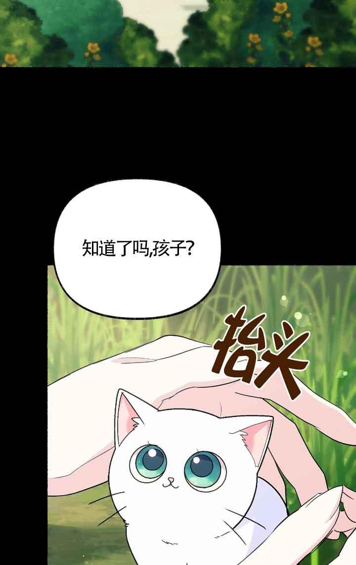 成了每晚和偏执暴君共眠的猫 - 第13话 - 第2张图