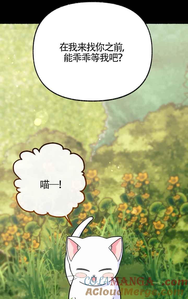 成了每晚和偏执暴君共眠的猫 - 第13话 - 第5张图