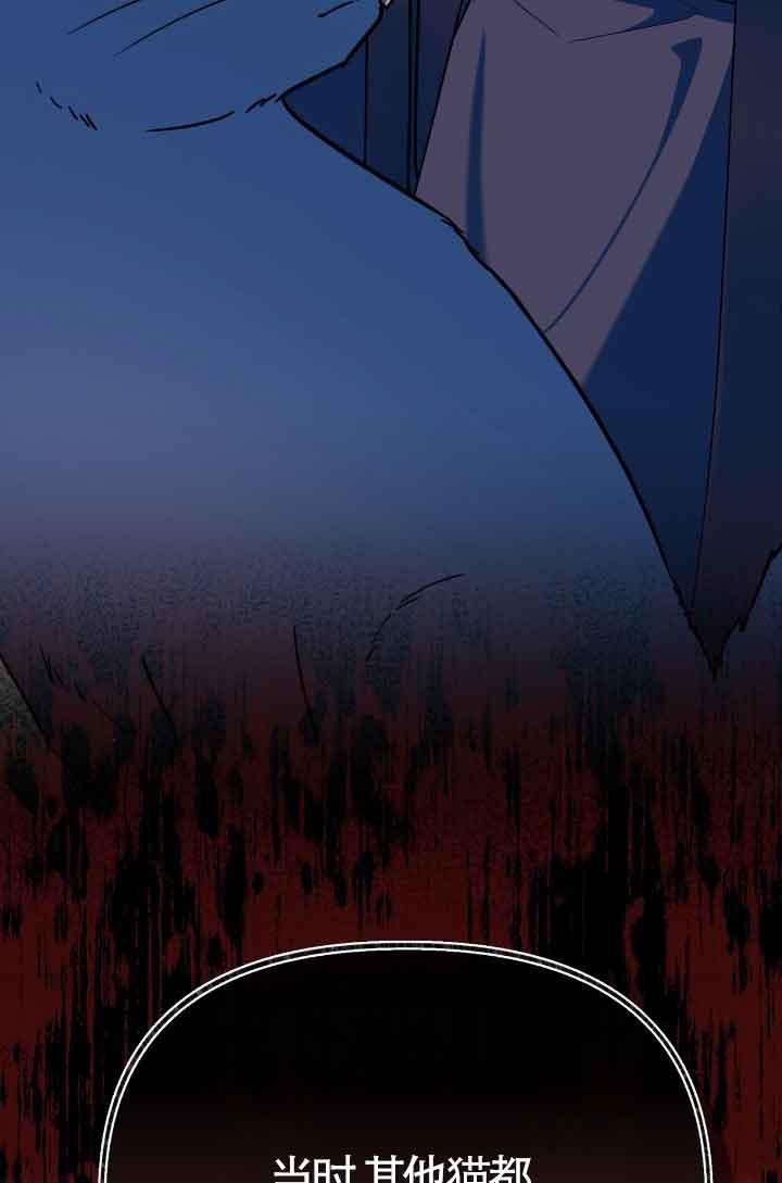 成了每晚和偏执暴君共眠的猫 - 第13话 - 第32张图