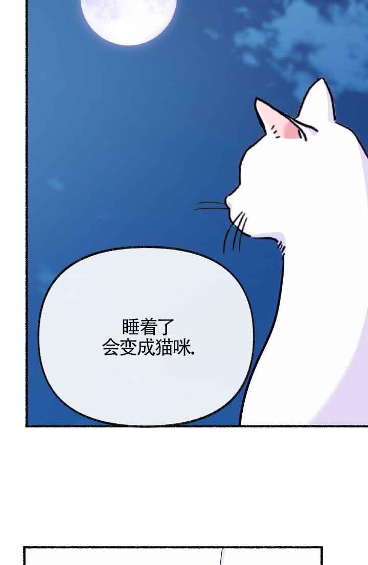 成了每晚和偏执暴君共眠的猫 - 第13话 - 第92张图