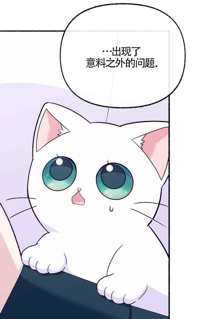 成了每晚和偏执暴君共眠的猫 - 第13话 - 第86张图