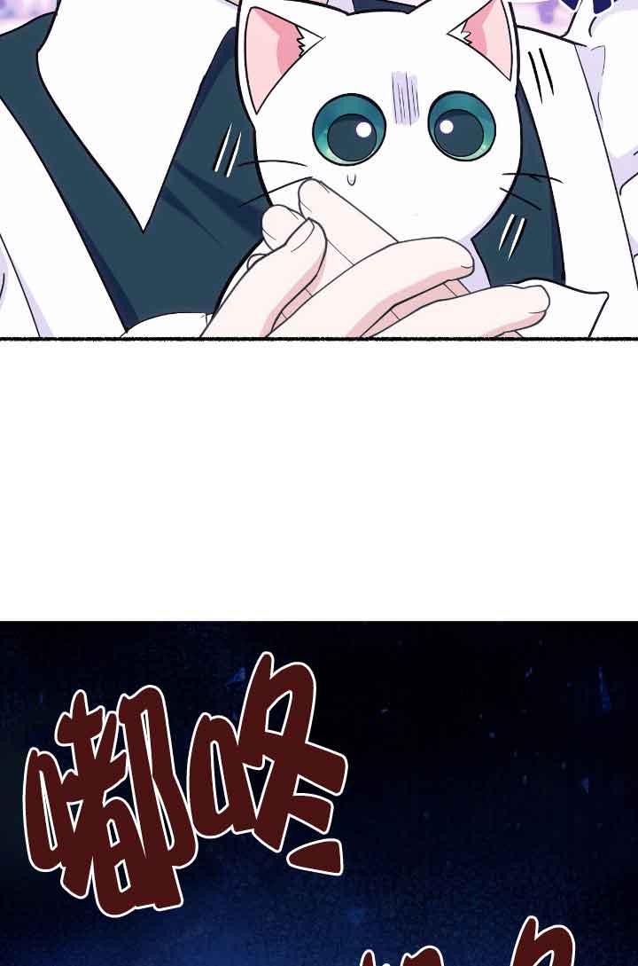 成了每晚和偏执暴君共眠的猫 - 第13话 - 第36张图