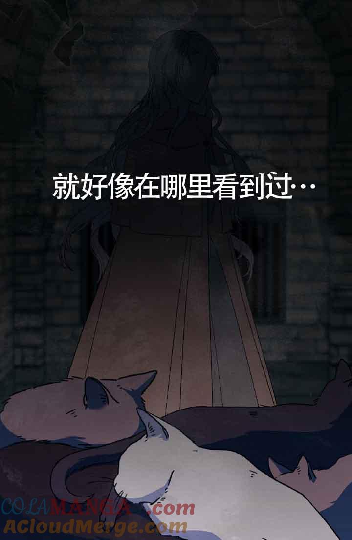 成了每晚和偏执暴君共眠的猫 - 第13话 - 第41张图