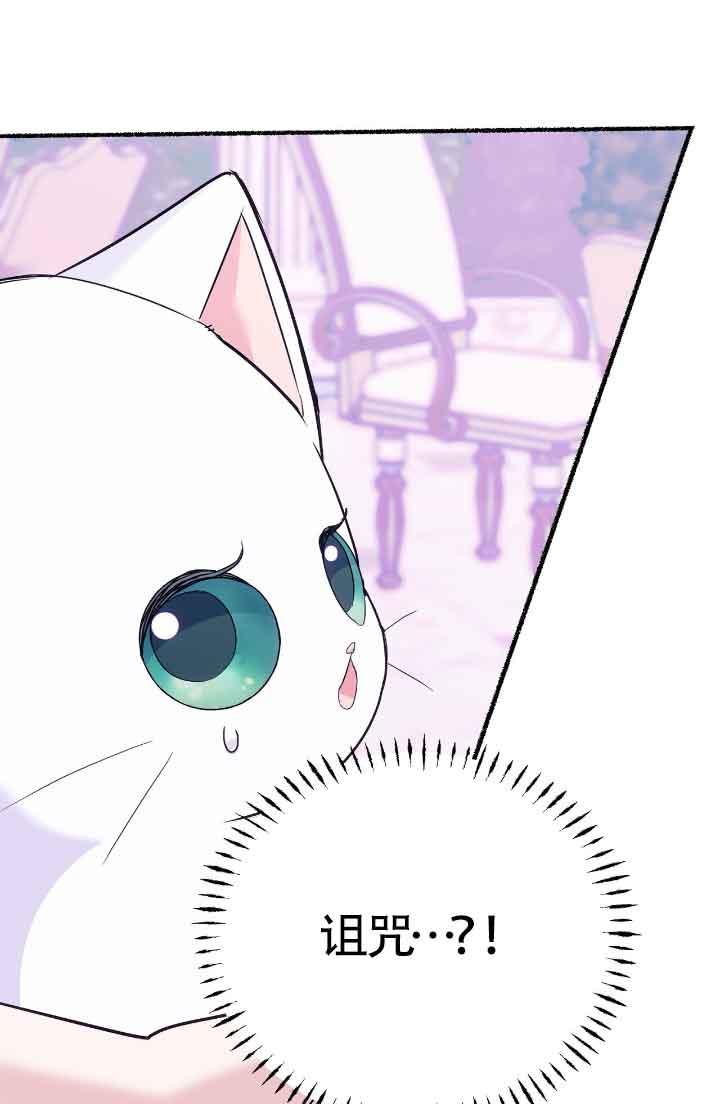 成了每晚和偏执暴君共眠的猫 - 第13话 - 第59张图