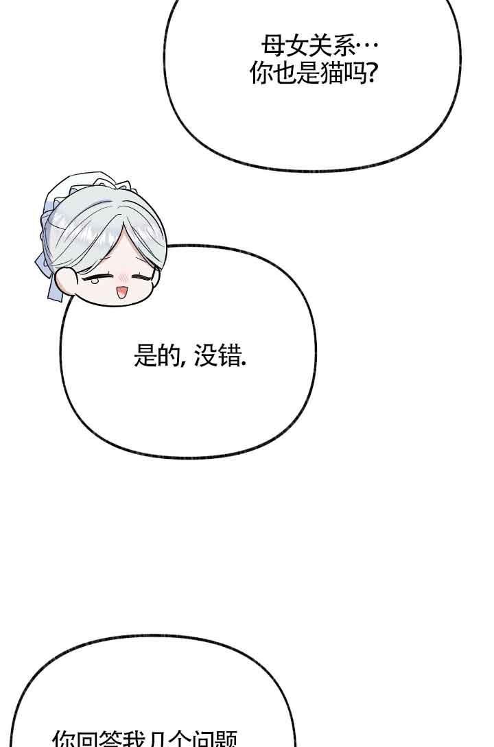 成了每晚和偏执暴君共眠的猫 - 第13话 - 第27张图