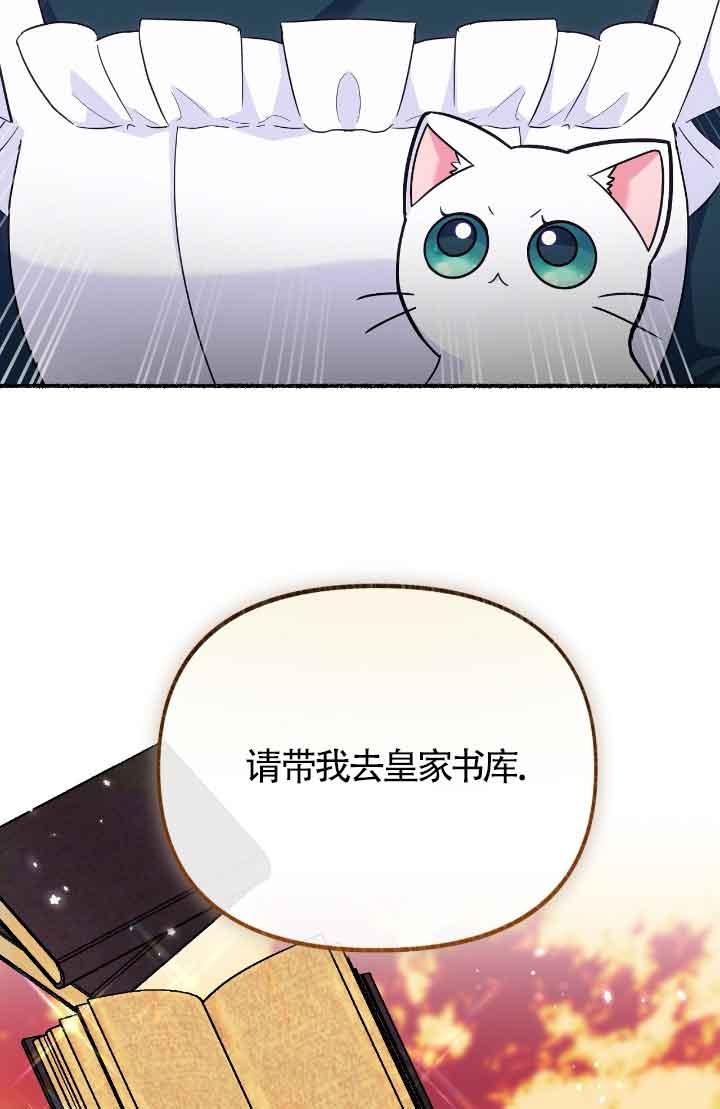 成了每晚和偏执暴君共眠的猫 - 第14话 - 第19张图