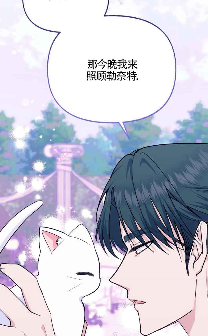 成了每晚和偏执暴君共眠的猫 - 第14话 - 第56张图
