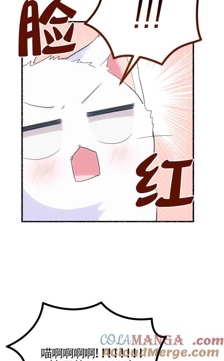 成了每晚和偏执暴君共眠的猫 - 第14话 - 第73张图