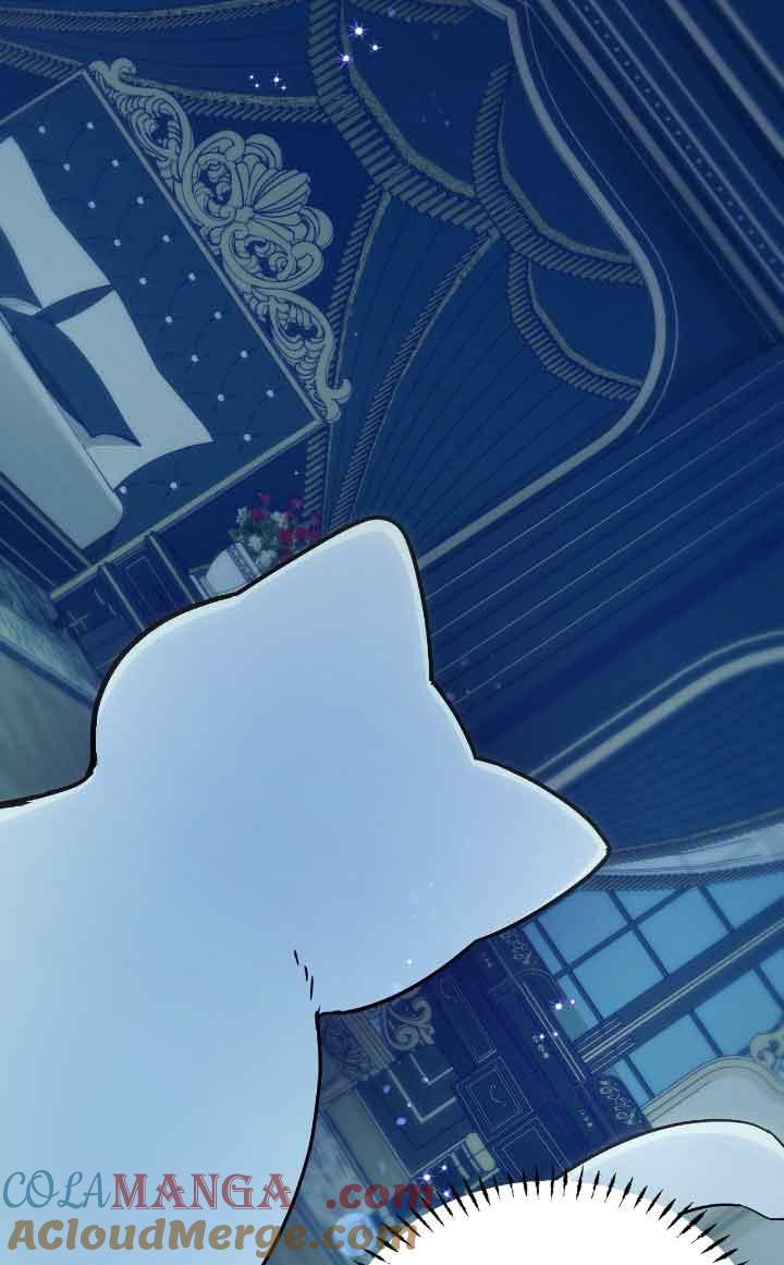 成了每晚和偏执暴君共眠的猫 - 第14话 - 第69张图