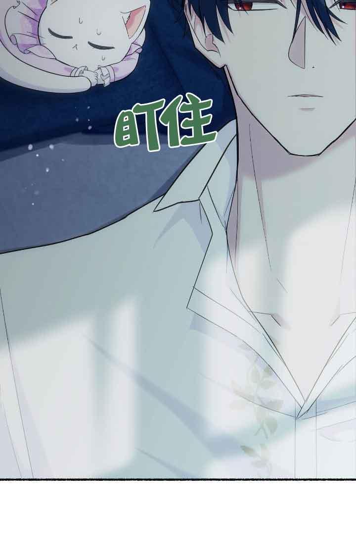 成了每晚和偏执暴君共眠的猫 - 第14话 - 第86张图