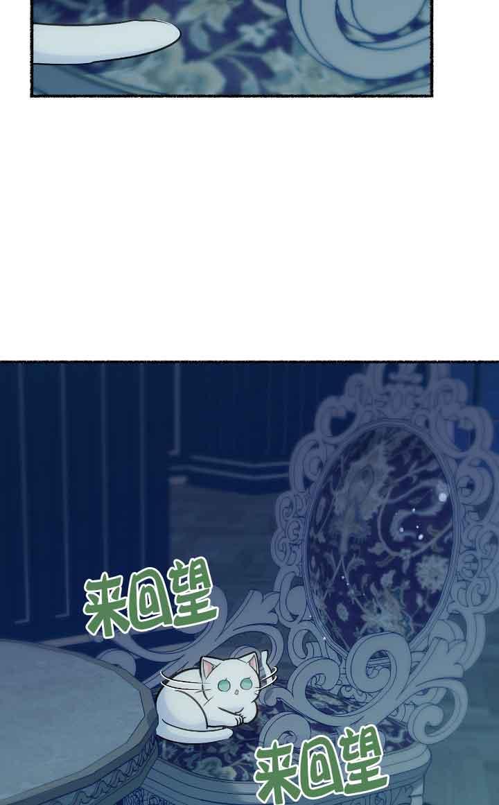 成了每晚和偏执暴君共眠的猫 - 第14话 - 第67张图