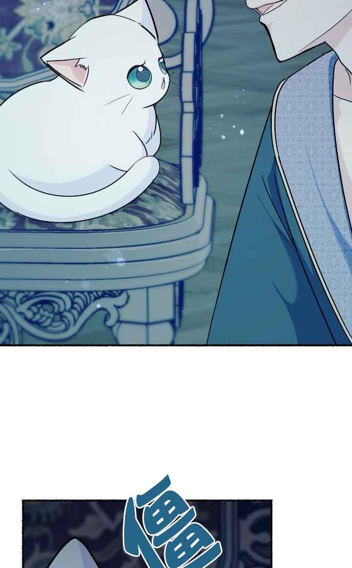 成了每晚和偏执暴君共眠的猫 - 第14话 - 第78张图