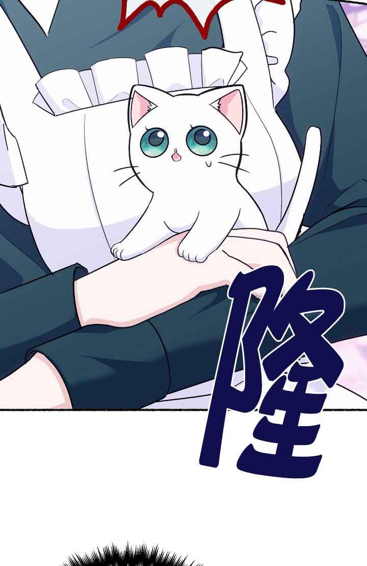 成了每晚和偏执暴君共眠的猫 - 第14话 - 第3张图