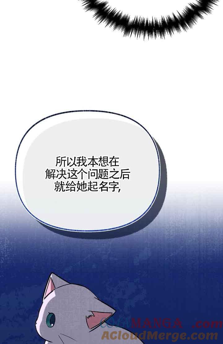 成了每晚和偏执暴君共眠的猫 - 第14话 - 第5张图