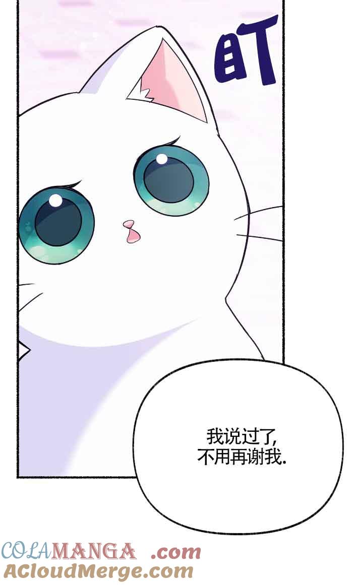 成了每晚和偏执暴君共眠的猫 - 第14话 - 第61张图