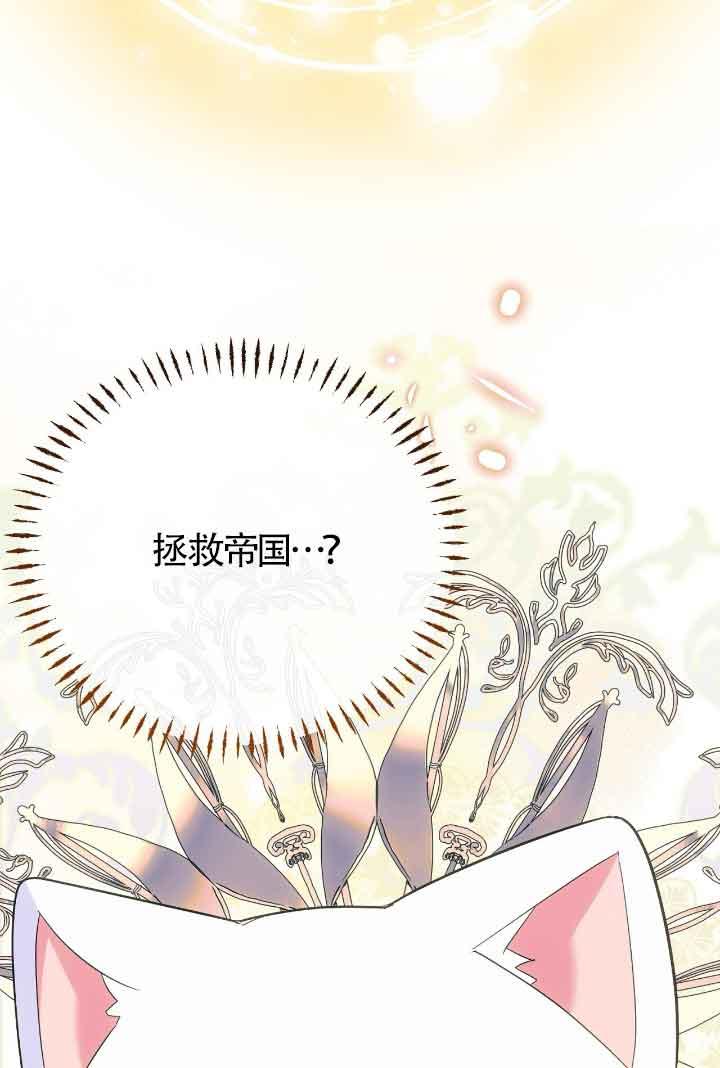 成了每晚和偏执暴君共眠的猫 - 第15话 - 第71张图