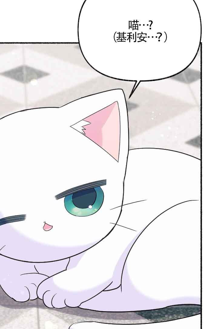 成了每晚和偏执暴君共眠的猫 - 第15话 - 第92张图
