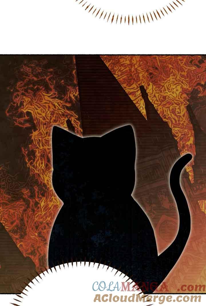 成了每晚和偏执暴君共眠的猫 - 第15话 - 第73张图