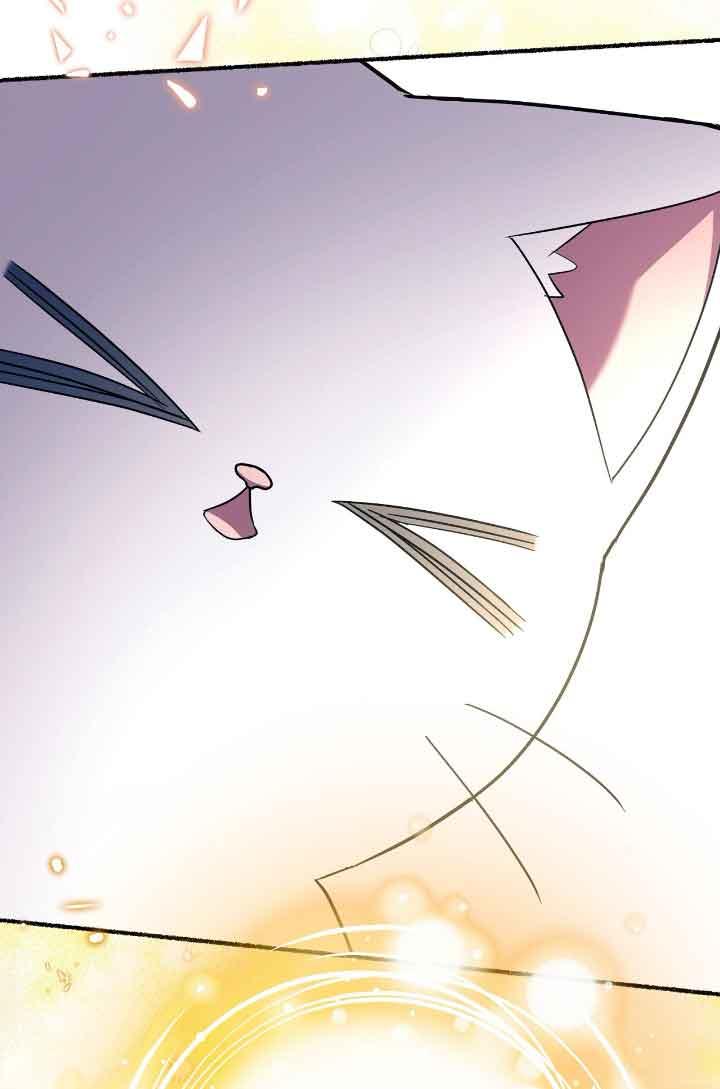 成了每晚和偏执暴君共眠的猫 - 第15话 - 第84张图