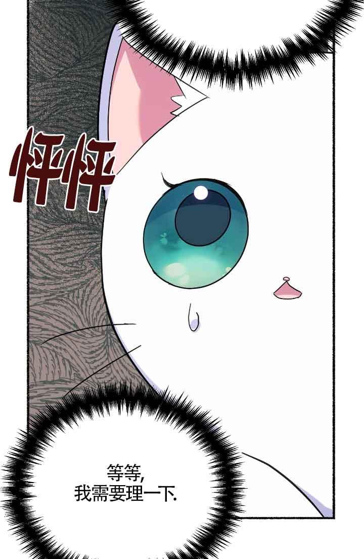 成了每晚和偏执暴君共眠的猫 - 第15话 - 第52张图