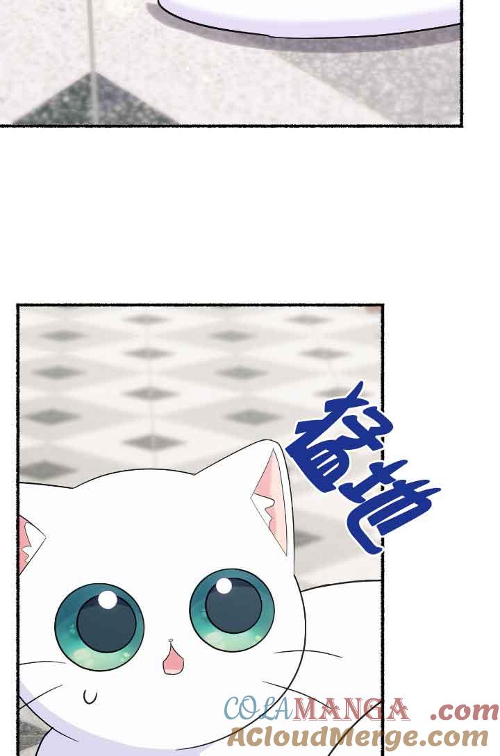 成了每晚和偏执暴君共眠的猫 - 第15话 - 第93张图