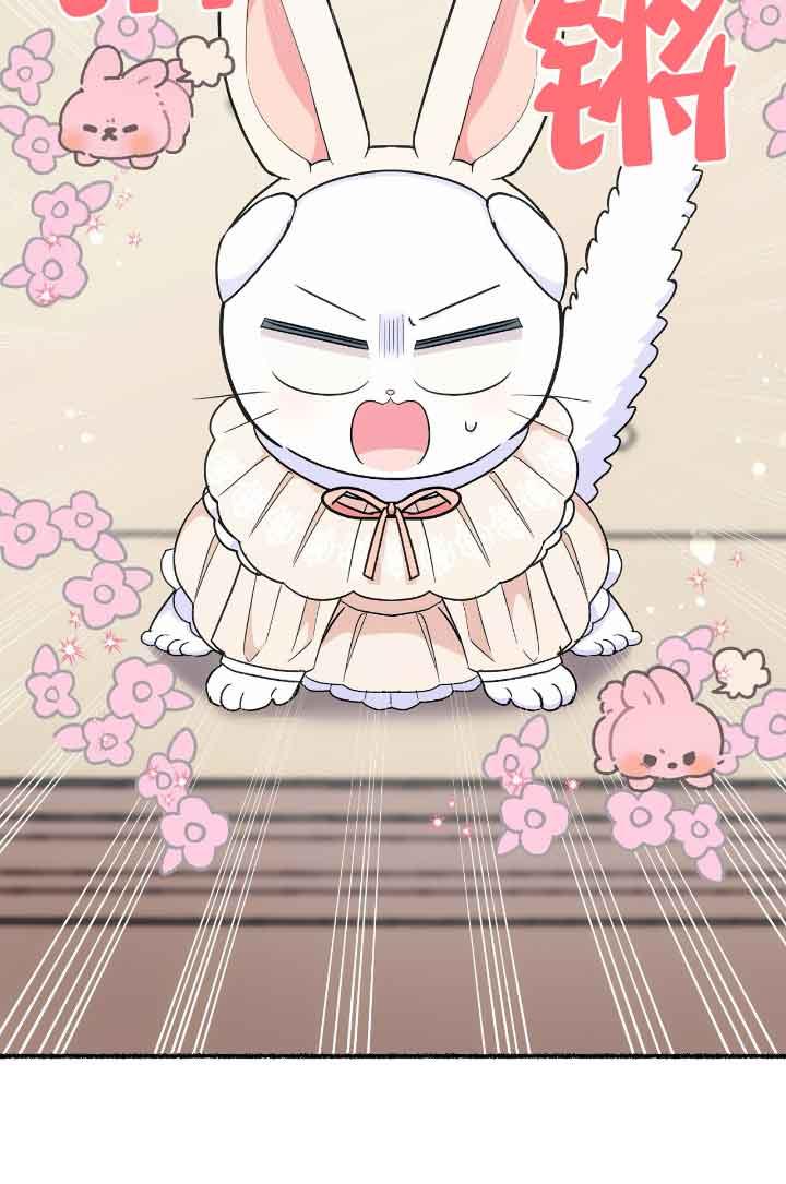 成了每晚和偏执暴君共眠的猫 - 第16话 - 第11张图